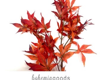May include: A close-up of a branch with vibrant red and orange maple leaves against a white background. The leaves have intricate details and textures. The text "bohemiagoods" is displayed below the branch, along with "modern rustic + wedding supplies + florals".