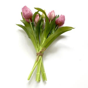 May include: A bouquet of pink tulips with green stems tied together with twine.