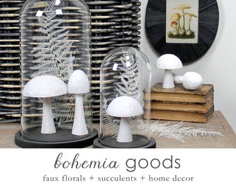 Glass cloche with black wood base, dome, terrarium, display