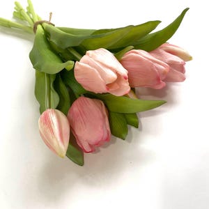 May include: A bouquet of pink tulips with green stems and leaves.