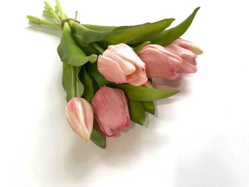 May include: A bouquet of pink tulips with green stems and leaves.