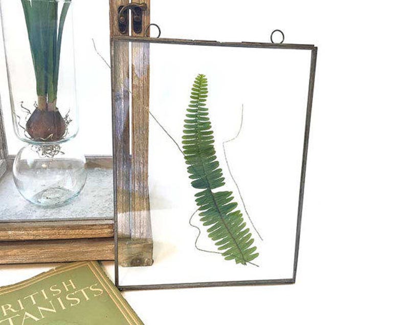 Pressed Flower Frame Picture Frame Clear Glass Frame Rustic Etsy