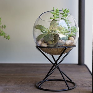 Globe glass terrarium, indoor planters, terrarium centerpiece, plant stand, succulent planter, modern planter, glass on stand image 2