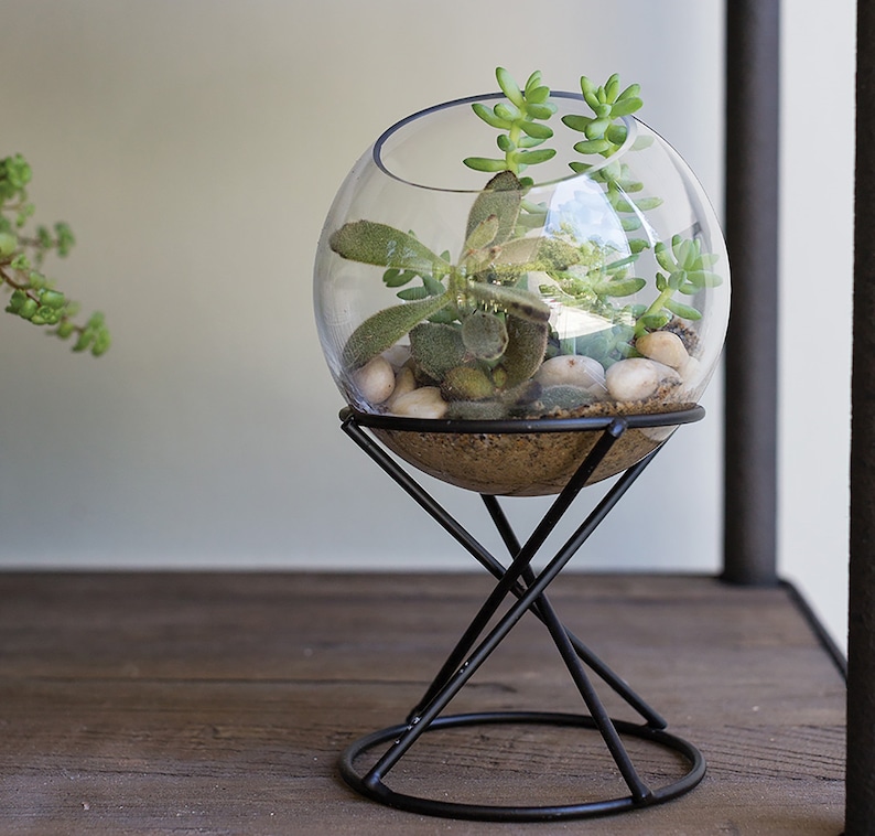 Globe glass terrarium, indoor planters, terrarium centerpiece, plant stand, succulent planter, modern planter, glass on stand image 2