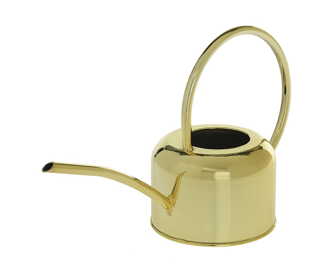 Gold watering can indoor watering can small watering can Etsy