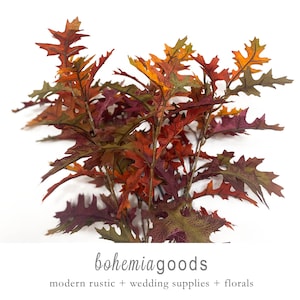 May include: A cluster of artificial oak leaves featuring a vibrant autumn color palette of deep burgundy, burnt orange, and olive green. The text "bohemia goods" and "modern rustic + wedding supplies + florals" is printed below the foliage.