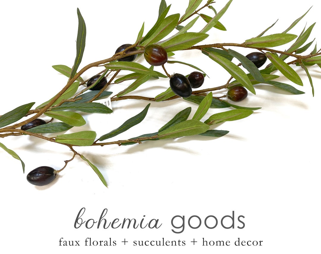 38 Olive Stem Olive Branch Olive Branch Decor Winery Etsy