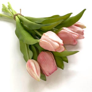 May include: A bouquet of pink tulips with green stems and leaves.