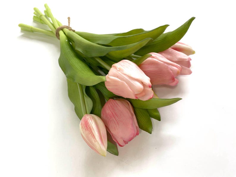 May include: A bouquet of pink tulips with green stems and leaves.