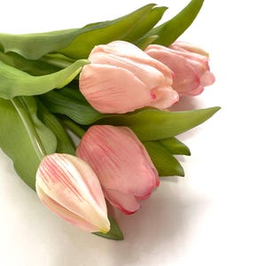 May include: A bouquet of pink tulips with green stems and leaves.