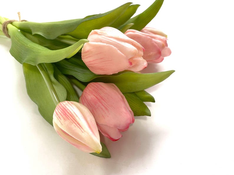 May include: A bouquet of pink tulips with green stems and leaves.