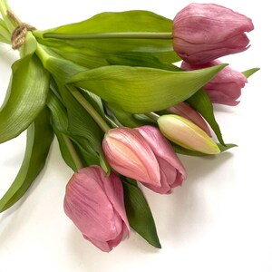 May include: A bouquet of pink tulips with green stems and leaves. The tulips are arranged in a loose, natural way, with some of the flowers overlapping.