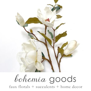 Blooming Magnolia Branch, blooming stem, tall, Magnolia flowers, Premium quality