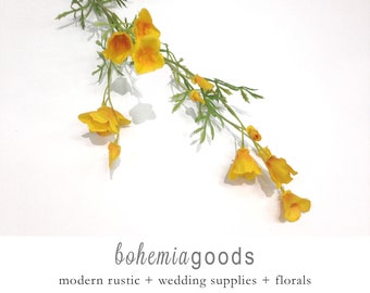 Small California Poppies: Orange Floral Stem, Boho Bouquet