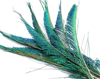 Natural Feather Earrings Polka Long Feather Earrings for Women 9-13 Inches