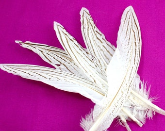 Fuchsia Colored Stiff Narrow Bird Decoration Dyed Rose Hat Band Decorations Long Earring Feather Hot Pink Ringneck Pheasant Tail Feathers