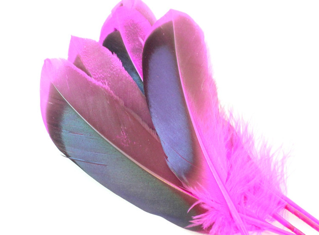 46 Inch Pink Duck Feathers. 10 Magenta Bird Feathers. Pink Feathers