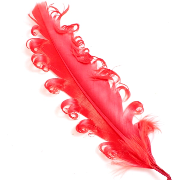 Red Curled Duck Feathers. (5) Curly Goose Craft Feathers with Long Stiff Shafts for Making a Feather Pad. Ideas for Baby Head Bands