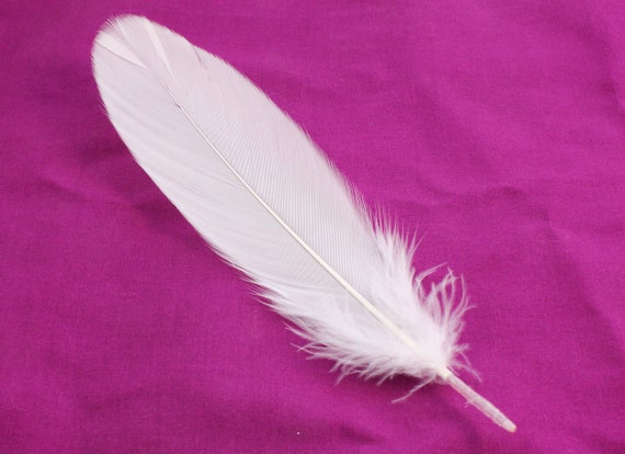 7-9 Inch Pink Goose Feathers 10 Light Rose Colored Bird Decorations With  Fuzzy Bottoms. Long Stiff Ornaments for Making Masks or Costumes 