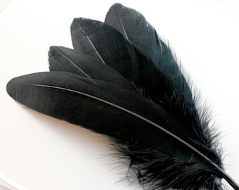 5-7 Inch Black Duck Feathers (10) Stiff Dark Colored Bird Decorations for Making Masks and Hair Extensions. Goose Quills for Boutonnieres