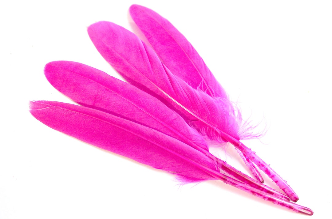 46 Inch Magenta Duck Feathers. 10 Smooth Fushica Feathers Etsy