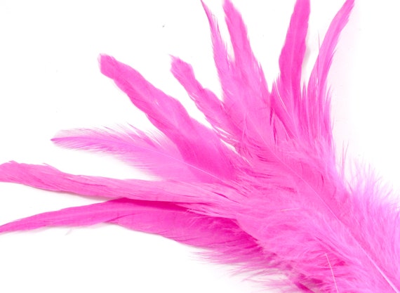 7-9 Inch Long Pink Feathers. Magenta Bird Quills for Making Costumes. Hot  Pink Rooster Tail Feathers for Halloween Masks and Hair Braids 