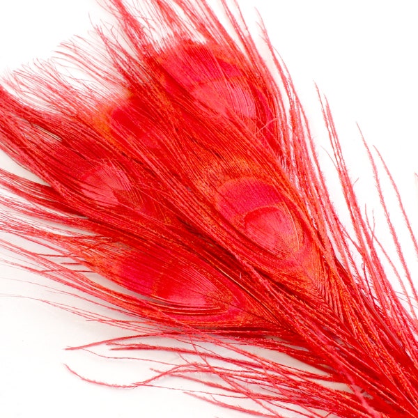 Red Peacock Feathers. (5) Cardinal Colored Bird Decorations with Large Eyes and Long Fringe for Making Halloween Masks and Bird Costumes