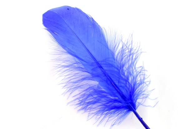 5-7 Inch Blue Goose Feathers. 10 Blue Bird Feathers. Stiff