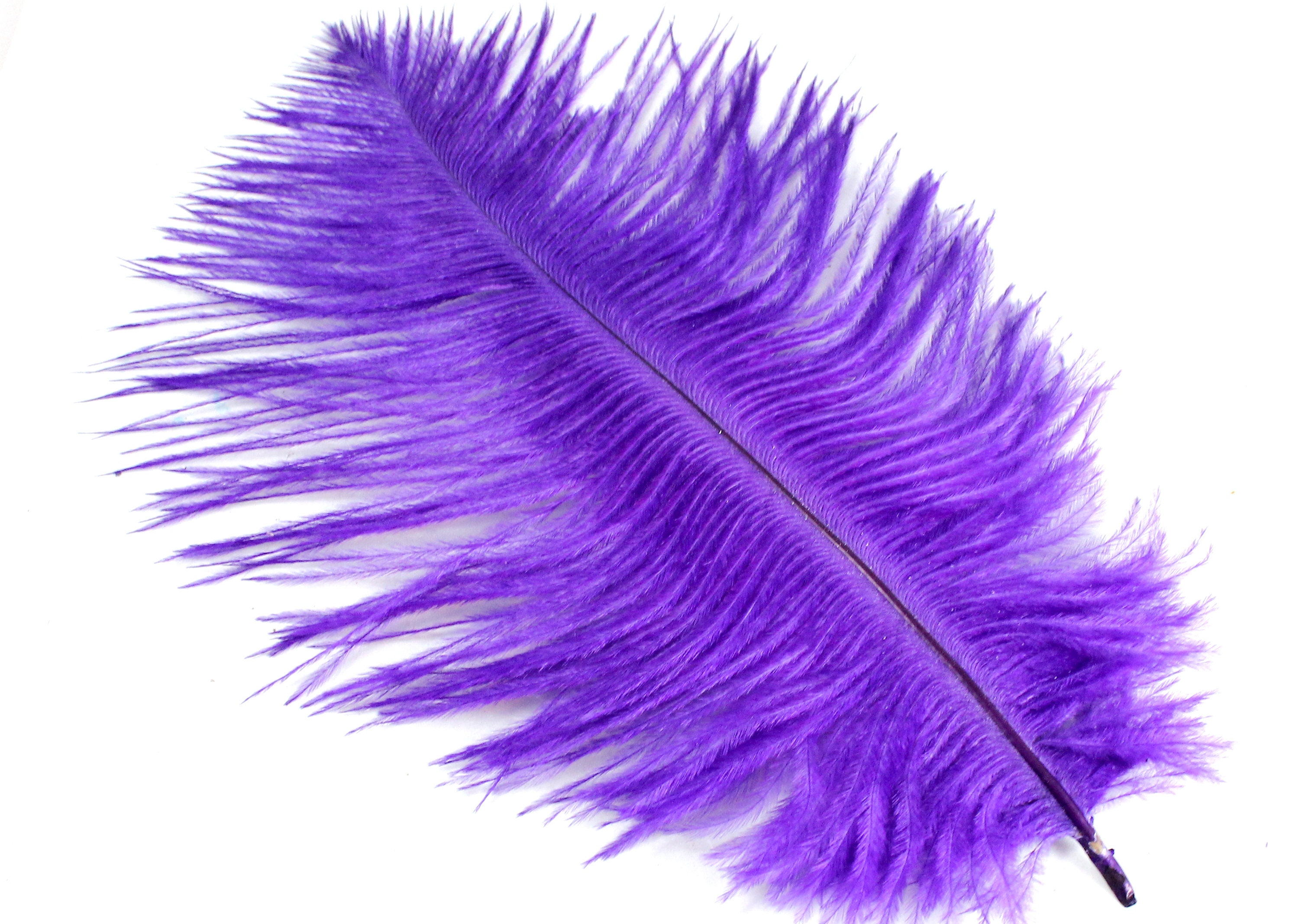 5-7 Inches Purple Ostrich Feathers. 5 Soft Fluffy Bird Decorations for  Making Fans for Costumes. A Small Dyed Colored Plume for Masks 