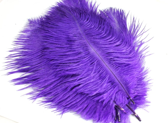 5-7 Inches Purple Ostrich Feathers. 5 Soft Fluffy Bird Decorations for  Making Fans for Costumes. A Small Dyed Colored Plume for Masks 