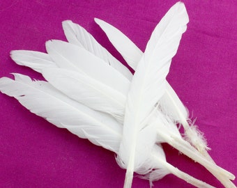 4-6 Inch White Duck Feathers. (10) Stiff White Feathers for Crafts. Earring Accessories. White Duck Wing Feathers for Hats. White Bird Quill