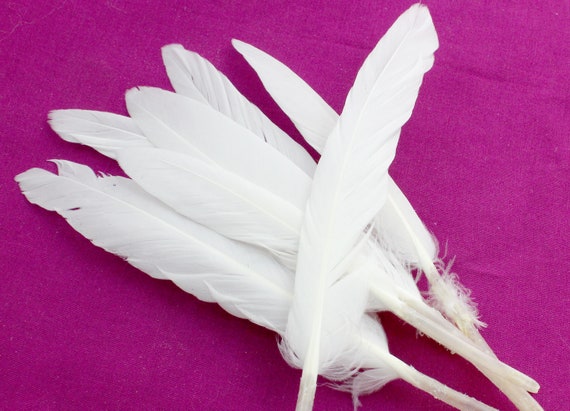 4-6 Inch White Duck Feathers. 10 Stiff White Feathers for Crafts. Earring  Accessories. White Duck Wing Feathers for Hats. White Bird Quill 