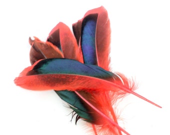 4-6 Inch Red Duck Feathers. (10) Red Mallard Feathers. Red Wing Plumes. Stiff Feathers. Arrow Feathers. Fletching Feathers. Iridescent