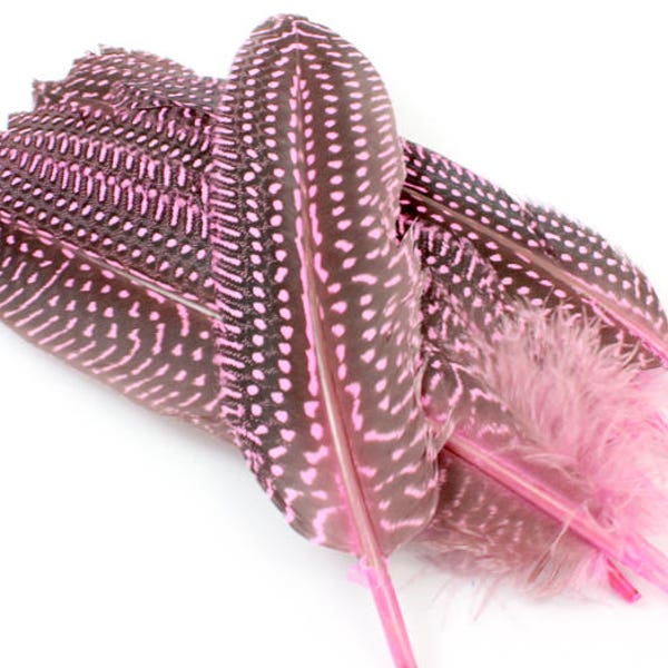 Pink Guinea Fowl Feathers for Making Hats (10) Black Spotted Bird Quills for Designing Hats. Baby Colored Stiff Feathers with Light Spots