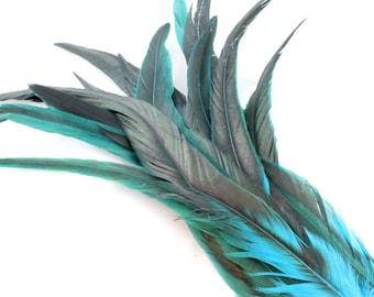 9-11 Inch Rooster Tail Feathers. (5) Long Blue Feathers. Turquoise Blue Bird Feathers. Turquoise Feathers. Rooster Feathers. Long Feathers