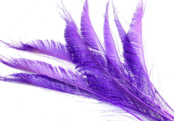 9-11 Inch Dark Purple Feathers. Lavender Peacock Sword Quills for Weaving  Into Hair. Long Monochromatic Tail Plumes for Halloween Costumes 