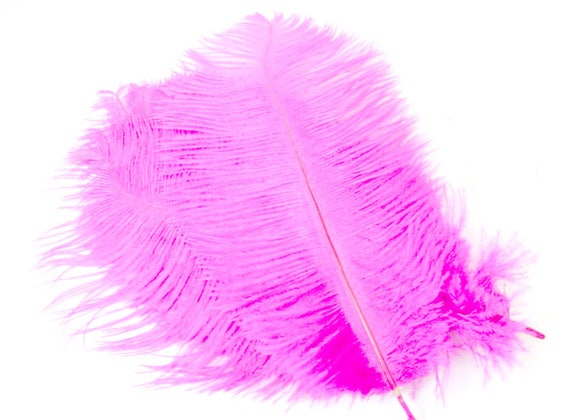 9-11 Inch Pink Ostrich Feathers (5) Magenta Feather. Pink Feathers. Pink  Bird Feathers. Centerpiece Feathers. Ostrich Plumes. Mask Feather