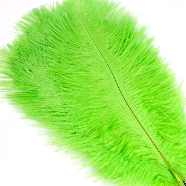 5-7 Inch Lime Green Ostrich Feathers for Making Fascinator Headbands. (5)