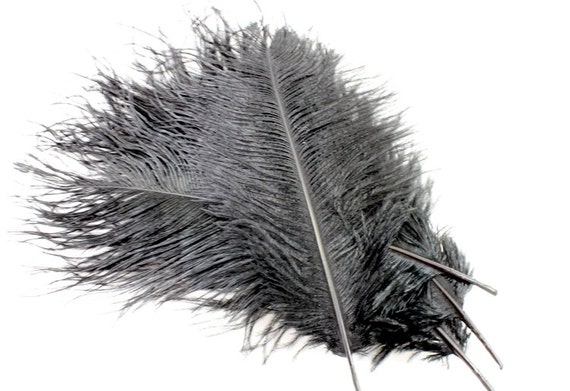 7-9 Inch Black Ostrich Feathers. (5) Black Feathers. Black Bird Feathers.  Center Piece Feathers. Black Wedding Feathers. Black Pen Feathers.