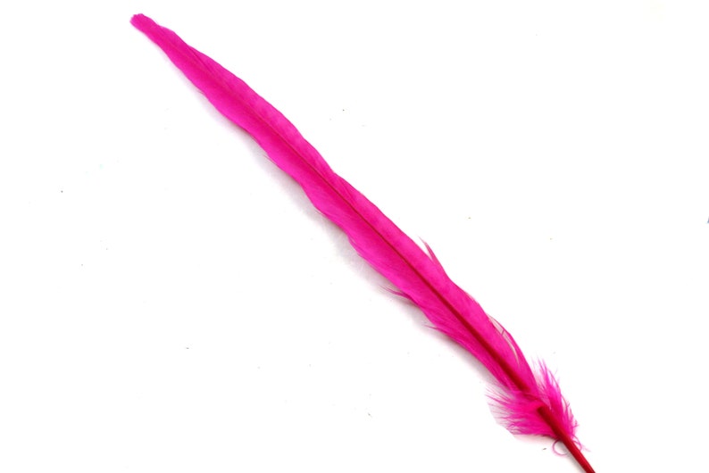 Fuchsia Colored Stiff Narrow Bird Decoration Dyed Rose Hat Band Decorations Long Earring Feather Hot Pink Ringneck Pheasant Tail Feathers