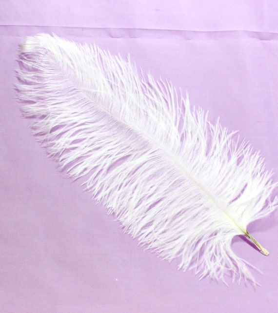 Piume di struzzo bianche da 9-11 pollici. 5 Penne lunghe di colore chiaro  per realizzare costumi o utilizzarle nelle fasce dei cappelli. Grandi piume  soffici per tavoli -  Italia