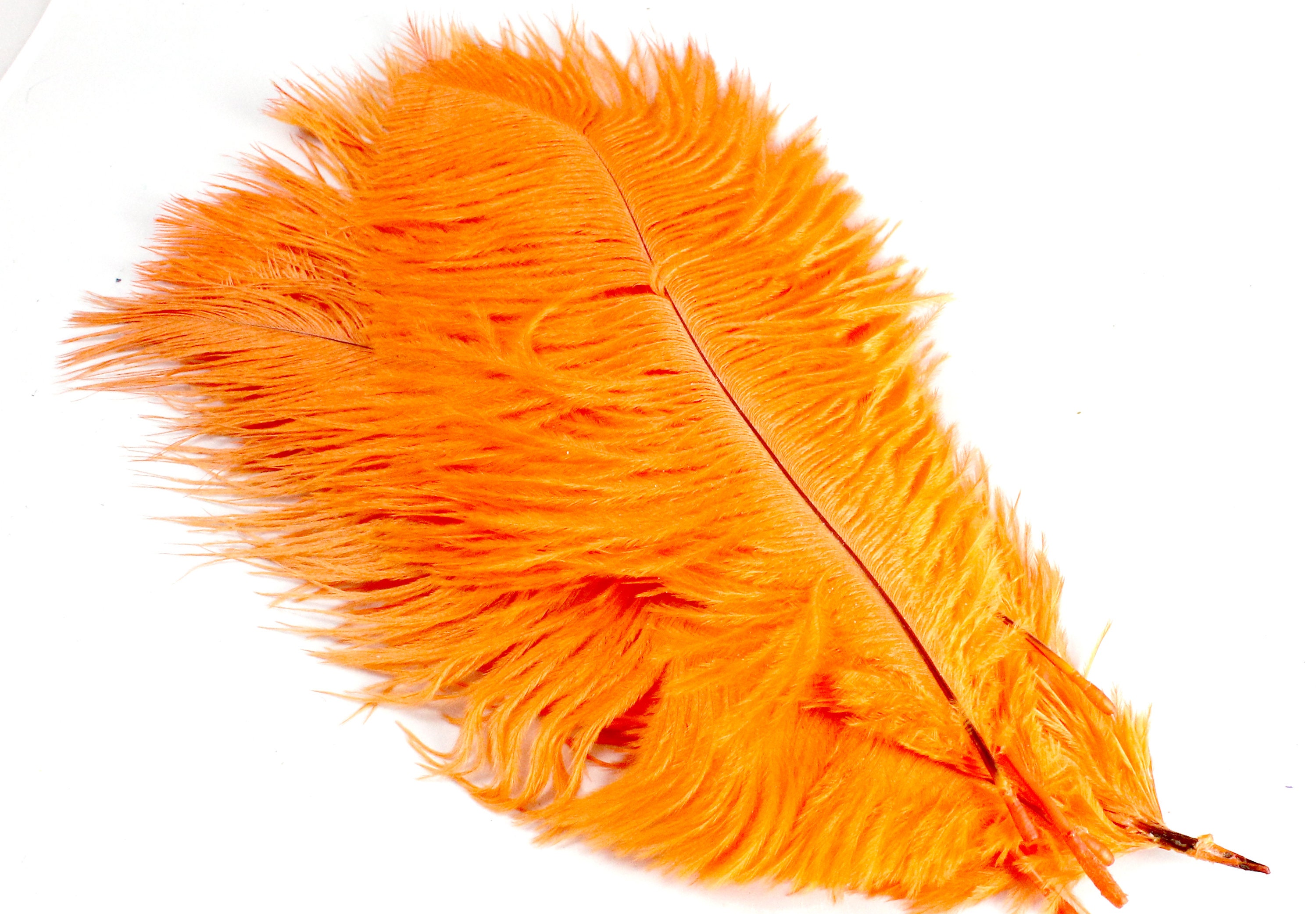 Zucker Feather Products Turkey Marabou Dyed - 3-8 inch - Orange