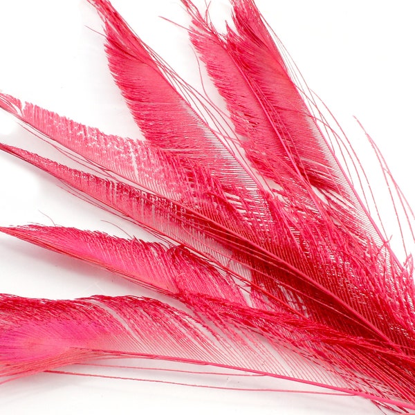 9-11 Inch Red Peacock Sword Feathers. Cardinal Colored Tail Quills for Making Facsinators Headbands. Crimson Solid Dyed Plumes for Costumes