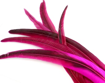 9-12 Inch Rooster Tail Feathers (5) Long Magenta Bird Decorations for Making Head Dresses and Halloween Costumes. Slightly Curved Ornaments