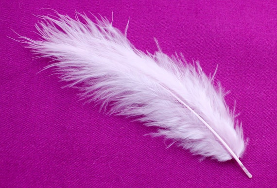 Curly Nagori Goose Feathers