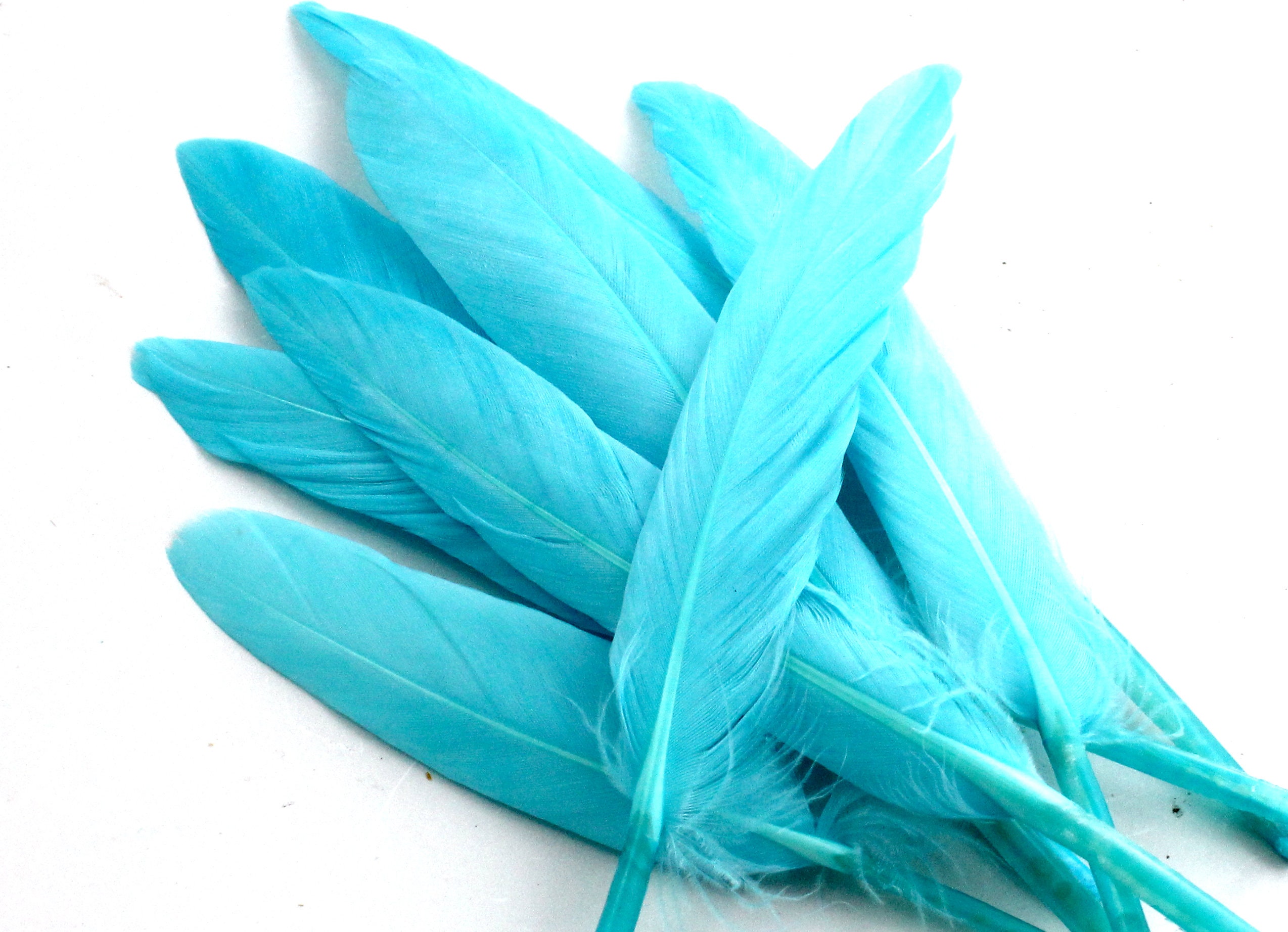 5-7 Inch Blue Goose Feathers. 10 Blue Bird Feathers. Stiff Feathers. Blue  Feathers for Crafts. Blue Fuzzy Feathers. Blue Mask Feathers. 