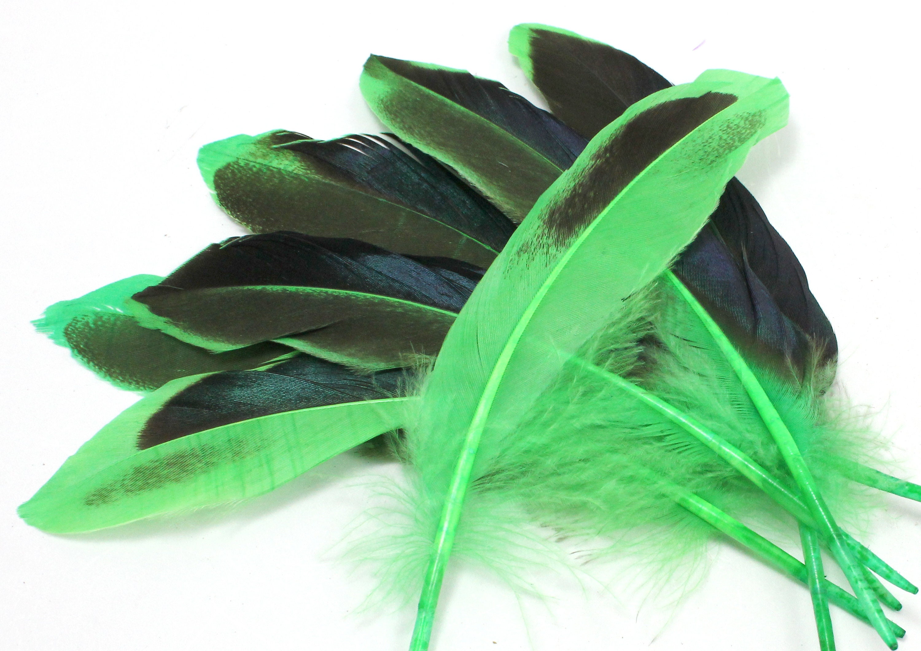 Teal Duck Feathers, Emerald Green, 7 Centimetres. 