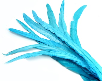 9-11 Inch Turquoise Blue Rooster Tail Feathers. (5) Long Sapphire Colored Bird Decorations. Narrow Rooster Quills. Dyed Chicken Ornaments