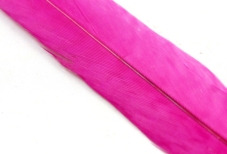 Fuchsia Colored Stiff Narrow Bird Decoration Dyed Rose Hat Band Decorations Long Earring Feather Hot Pink Ringneck Pheasant Tail Feathers