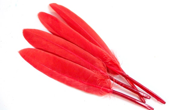 Plumas de pato rojo de 4-6 pulgadas. 10 Plumas rojas lisas para
